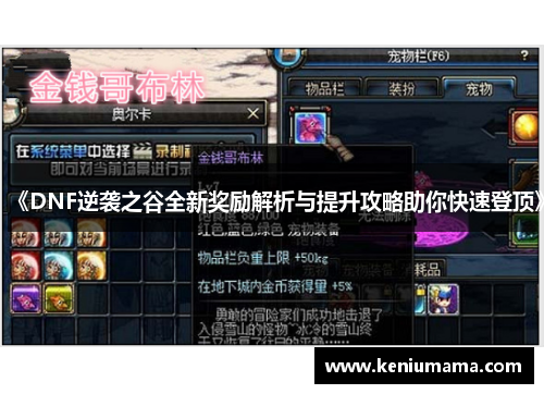 《DNF逆袭之谷全新奖励解析与提升攻略助你快速登顶》