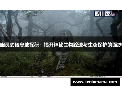 幽灵豹栖息地探秘：揭开神秘生物踪迹与生态保护的面纱