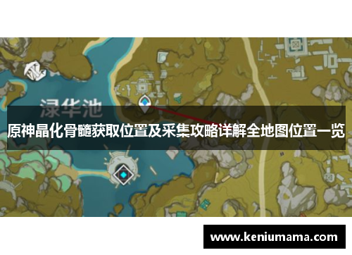原神晶化骨髓获取位置及采集攻略详解全地图位置一览