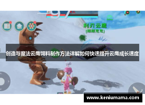 创造与魔法云鹰饲料制作方法详解如何快速提升云鹰成长速度