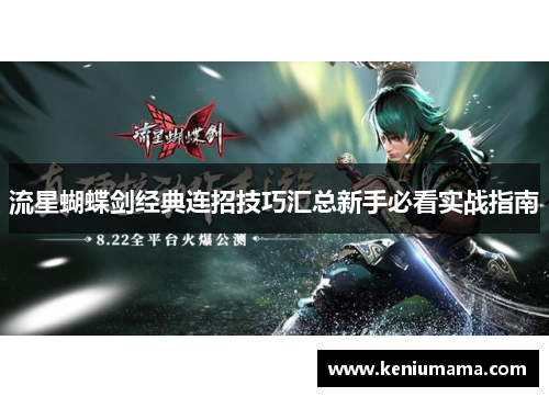 流星蝴蝶剑经典连招技巧汇总新手必看实战指南